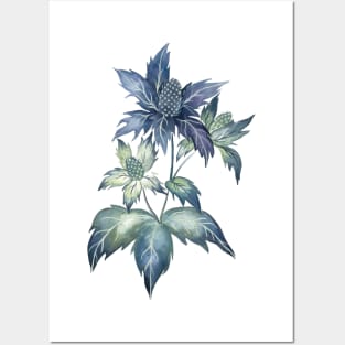 Sea Holly Thristle Posters and Art